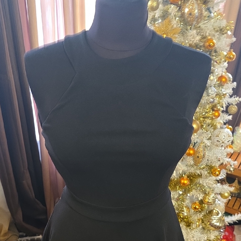Elegant Black Mini Dress - Picture 5 of 16
